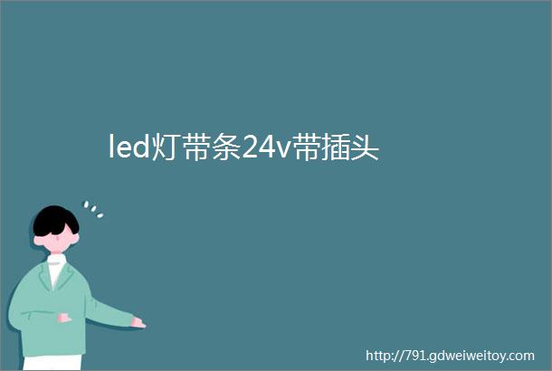 led灯带条24v带插头